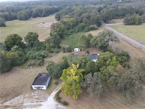 Other - 16699 Romulus Rd, Ralph, AL 35480 photo 10 of 11