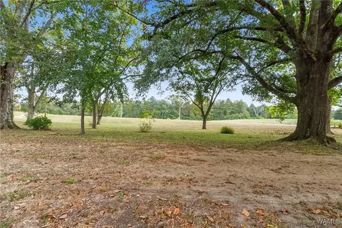 Exterior - 16699 Romulus Rd, Ralph, AL 35480 photo 2 of 12