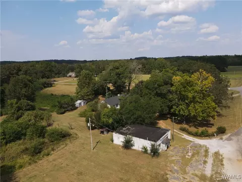 Other - 16699 Romulus Rd, Ralph, AL 35480 photo 8 of 11