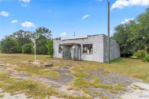 Other - 16699 Romulus Rd, Ralph, AL 35480 photo 6 of 11