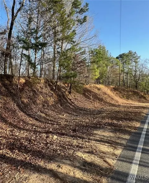 0000 Lake Lurleen, Coker, AL 35452