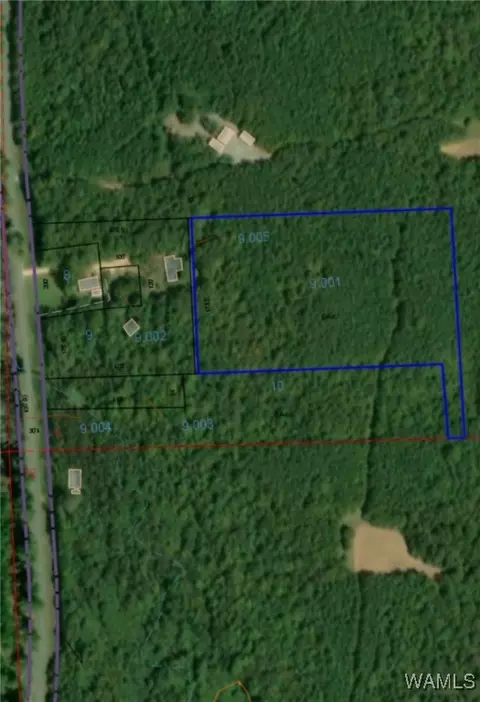 00000 Sapp Rd, Aliceville, AL 35442