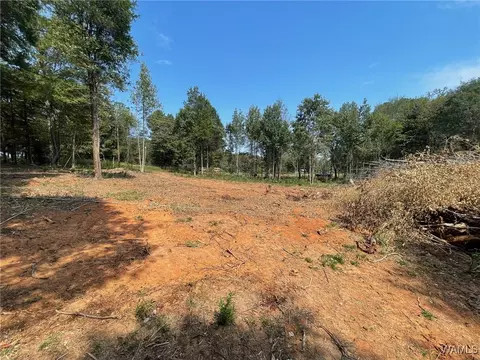 lot5 Sugarberry Farms, Berry, AL 35546