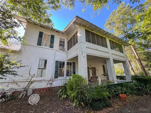 Exterior - 100 E Jackson St, Demopolis, AL 36732 photo 3 of 4