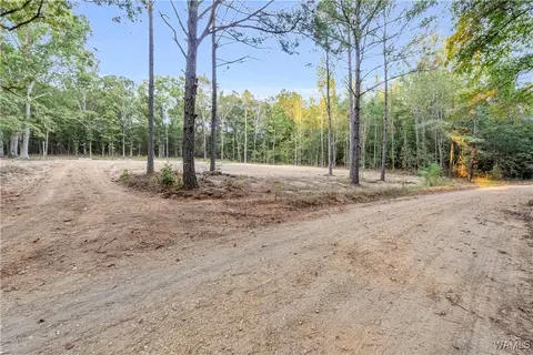 N/a Liberty Church Rd, Millport, AL 35576