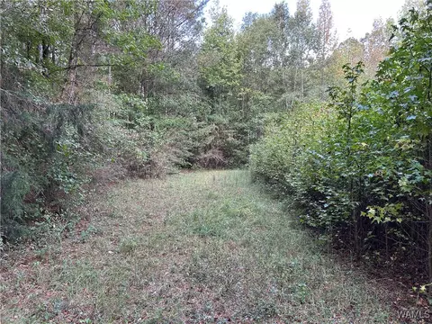 0 Tingle Tangle Rd, Vance, AL 35490 photo 8