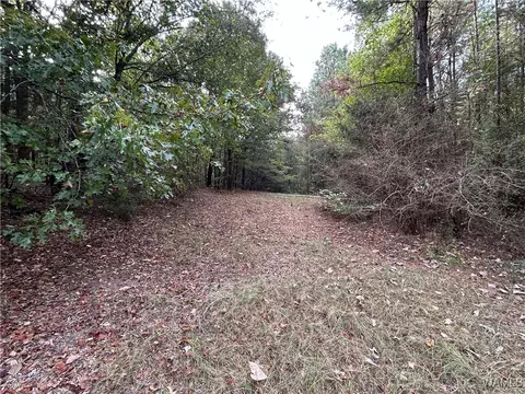0 Tingle Tangle Rd, Vance, AL 35490 photo 4