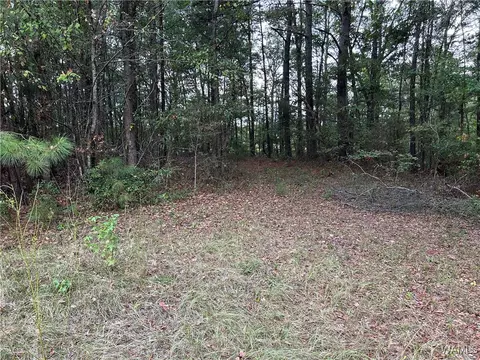 0 Tingle Tangle Rd, Vance, AL 35490 photo 3