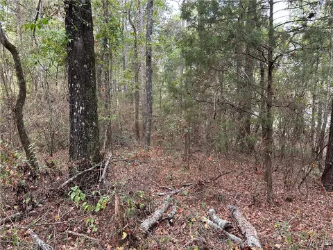 0 Tingle Tangle Rd, Vance, AL 35490 photo 9