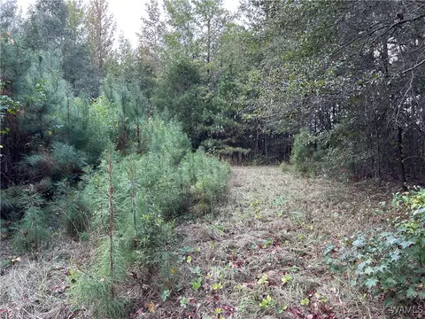 0 Tingle Tangle Rd, Vance, AL 35490 photo 5