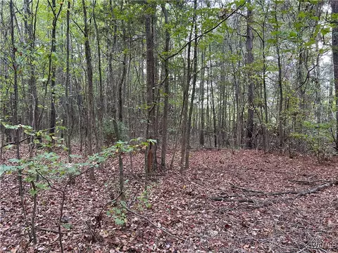 0 Tingle Tangle Rd, Vance, AL 35490 photo 7