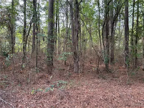 0 Tingle Tangle Rd, Vance, AL 35490 photo 10