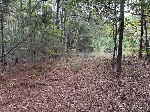 0 Tingle Tangle Rd, Vance, AL 35490 photo 6