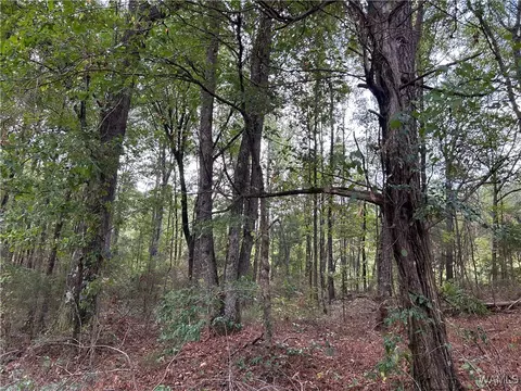 0 Tingle Tangle Rd, Vance, AL 35490 photo 11