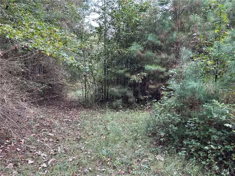 0 Tingle Tangle Rd, Vance, AL 35490 photo 12