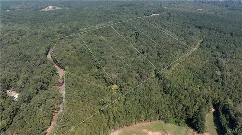 2 Dunn Creek Rd, Gordo, AL 35466
