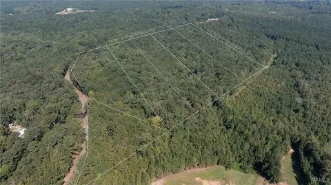 6 Dunn Creek Rd, Gordo, AL 35466