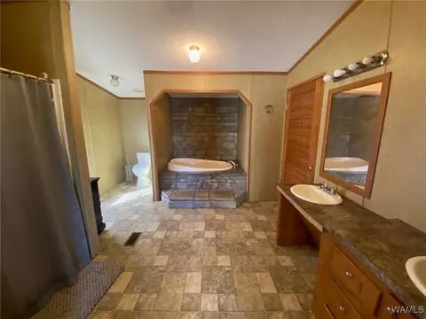 Bath - 201 Wright Dr, Fayette, AL 35555 photo 2 of 3