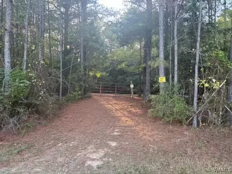 00 County Road 51, Fayette, AL 35555