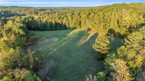 000 Hamby Rd, Millport, AL 35576