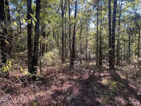 00 Plyer Rd, Kennedy, AL 35574