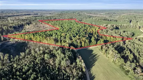 tbd Zion Shiloh Rd, Vernon, AL 35592