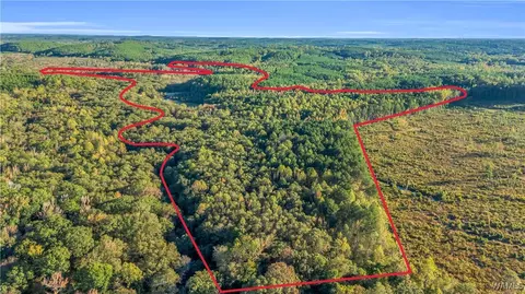 tbd Snake Branch Rd, Vernon, AL 35592