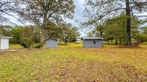 14853 Kepple Loop, Coaling, AL 35453 photo 37