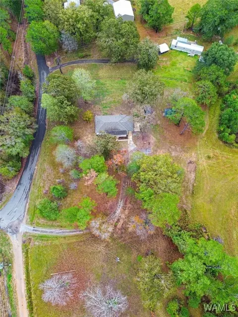 14853 Kepple Loop, Coaling, AL 35453 photo 39