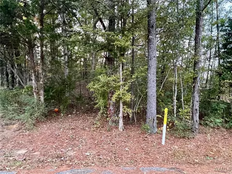 00 8th Ave SW, Fayette, AL 35555