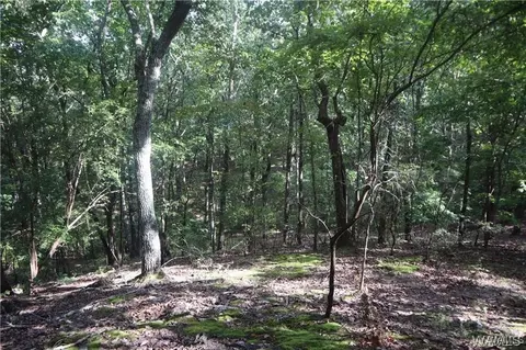 000 Oak Ridge Rd, Fayette, AL 35555