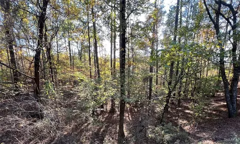 lot4 Allison Dr, Mc Calla, AL 35111