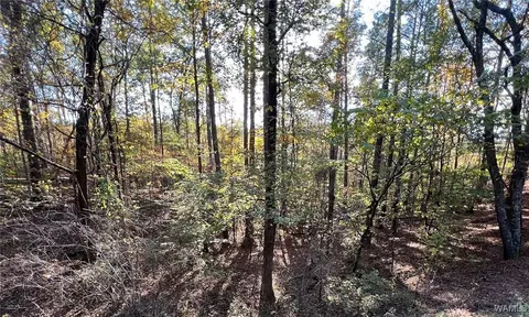 lot5 Allison Dr, Mccalla, AL