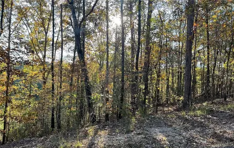 lot7 Allison Dr, Mc Calla, AL 35111