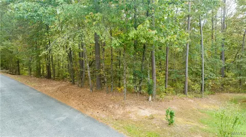 0 Teddy Dr, Mc Calla, AL 35111 photo 11