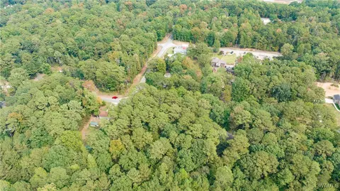 0 Teddy Dr, Mc Calla, AL 35111 photo 4