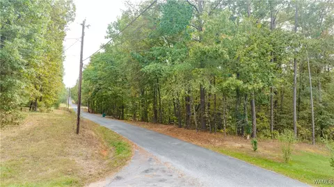 0 Teddy Dr, Mc Calla, AL 35111 photo 12