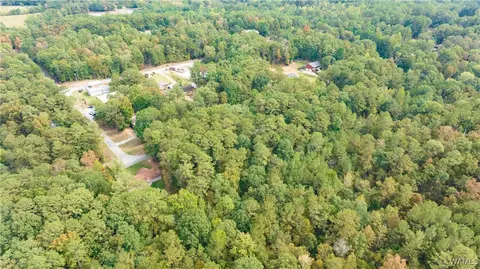 0 Teddy Dr, Mc Calla, AL 35111 photo 6