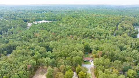 0 Teddy Dr, Mc Calla, AL 35111 photo 8
