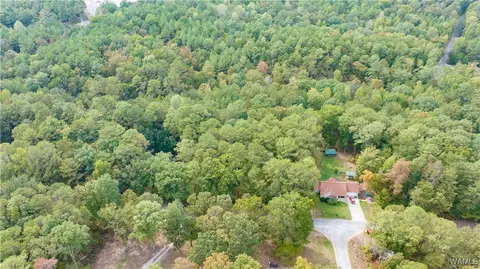 0 Teddy Dr, Mc Calla, AL 35111 photo 17