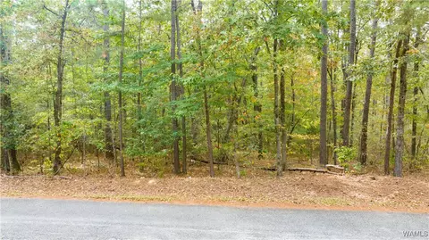 0 Teddy Dr, Mc Calla, AL 35111 photo 13