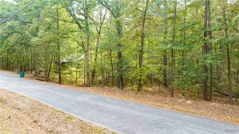 0 Teddy Dr, Mc Calla, AL 35111 photo 14