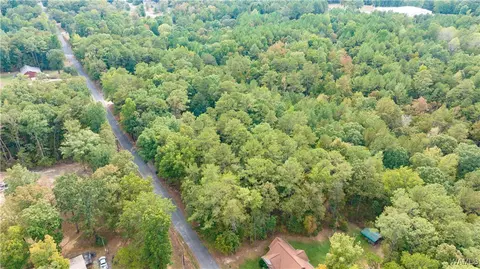 0 Teddy Dr, Mc Calla, AL 35111 photo 10