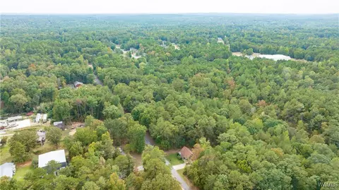 0 Teddy Dr, Mc Calla, AL 35111 photo 7