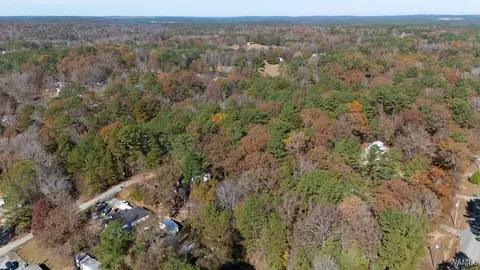 0 Jerry Dr, Mc Calla, AL 35111 photo 8