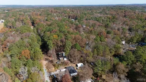 0 Jerry Dr, Mc Calla, AL 35111 photo 10