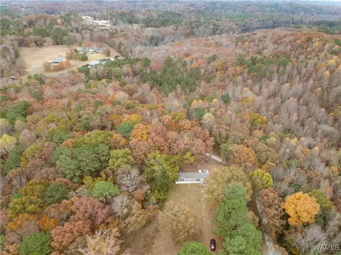 7655 Baptist Campground Rd, Northport, AL 35473