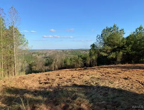 0 Hwy 43 N, Northport, AL 35475