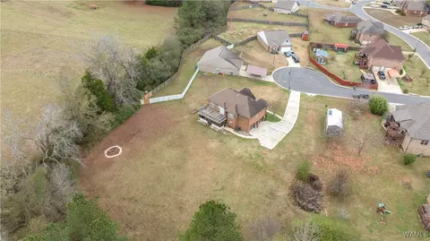 10984 Broadleaf Cir, Vance, AL 35490 photo 35