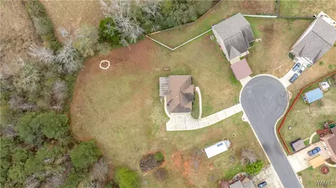 10984 Broadleaf Cir, Vance, AL 35490 photo 38